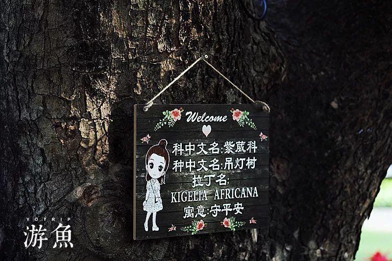 龙地逃生